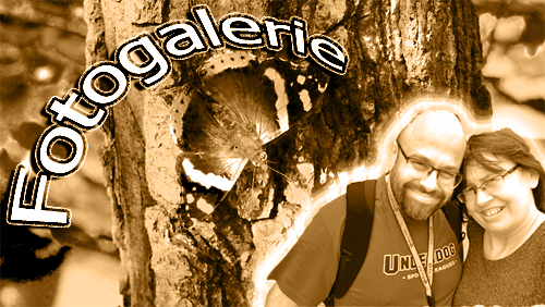galerie