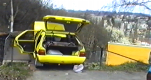 ovcary95