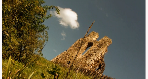 letohrad